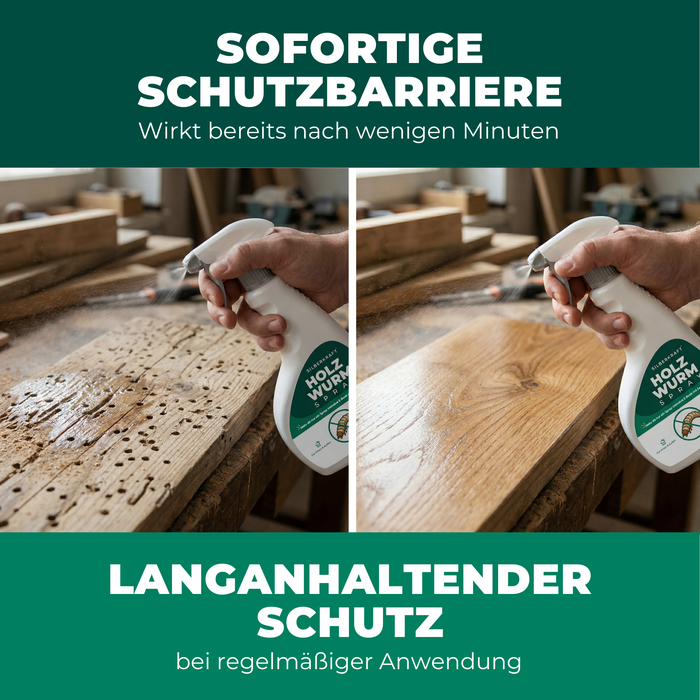 Spray anti-insectes xylophages : Traitement contre les insectes xylophages, les capricornes et les vrillettes du bois pour une utilisation intérieure et extérieure, incluant un livre électronique.