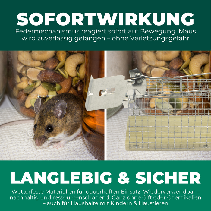 Piège à Souris Vivant - 4 Pièces - Respectueux des Aniaux Piège à Souris Vivant - 4 Pièces - Respectueux des Aniaux