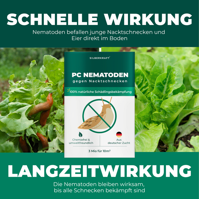 Nématodes PC contre limaces et escargots - Silberkraft