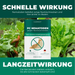 Nématodes PC contre limaces et escargots - Silberkraft
