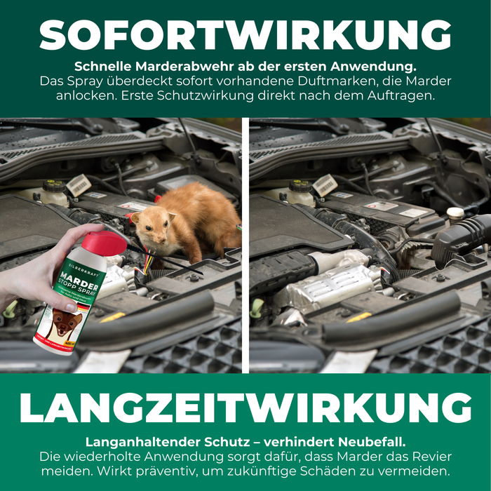 Silberkraft Marder Stopp Spray wird in den Motorraum eines Autos gesprüht. Text betont die langanhaltende Wirkung des Produkts gegen Marder.
