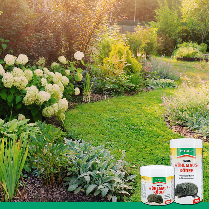 Wühlmausköder Ratzia: Effektiver Wühlmausköder auf Karottenbasis - Silberkraft