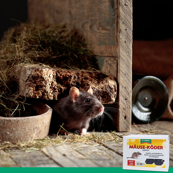 Dépôt d'appâts pour souris avec piège à pression pour la maison et le jardin