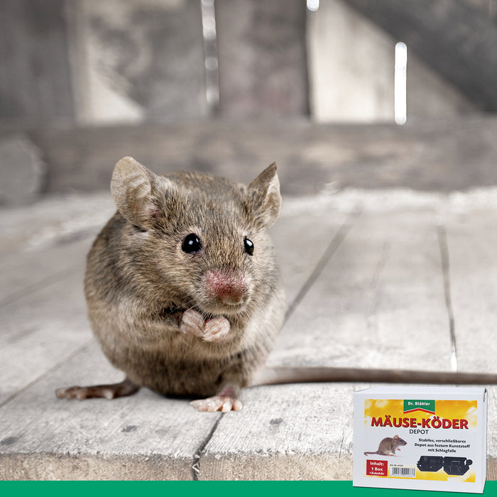 Dépôt d'appâts pour souris avec piège à pression pour la maison et le jardin