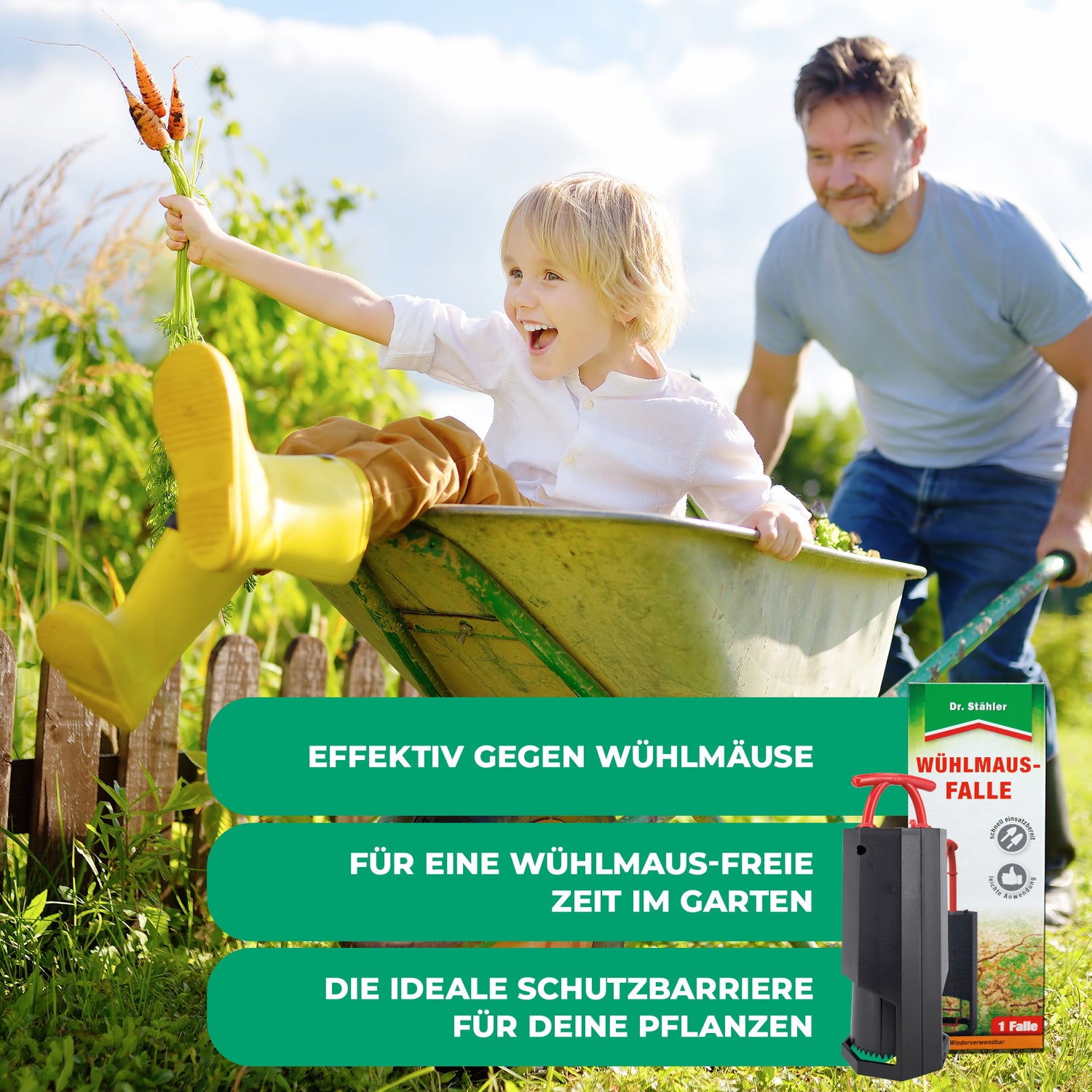 Piège à campagnols : Protection optimale contre les campagnols pour votre jardin (réutilisable)