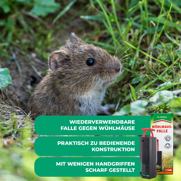 Piège à campagnols : Protection optimale contre les campagnols pour votre jardin (réutilisable)