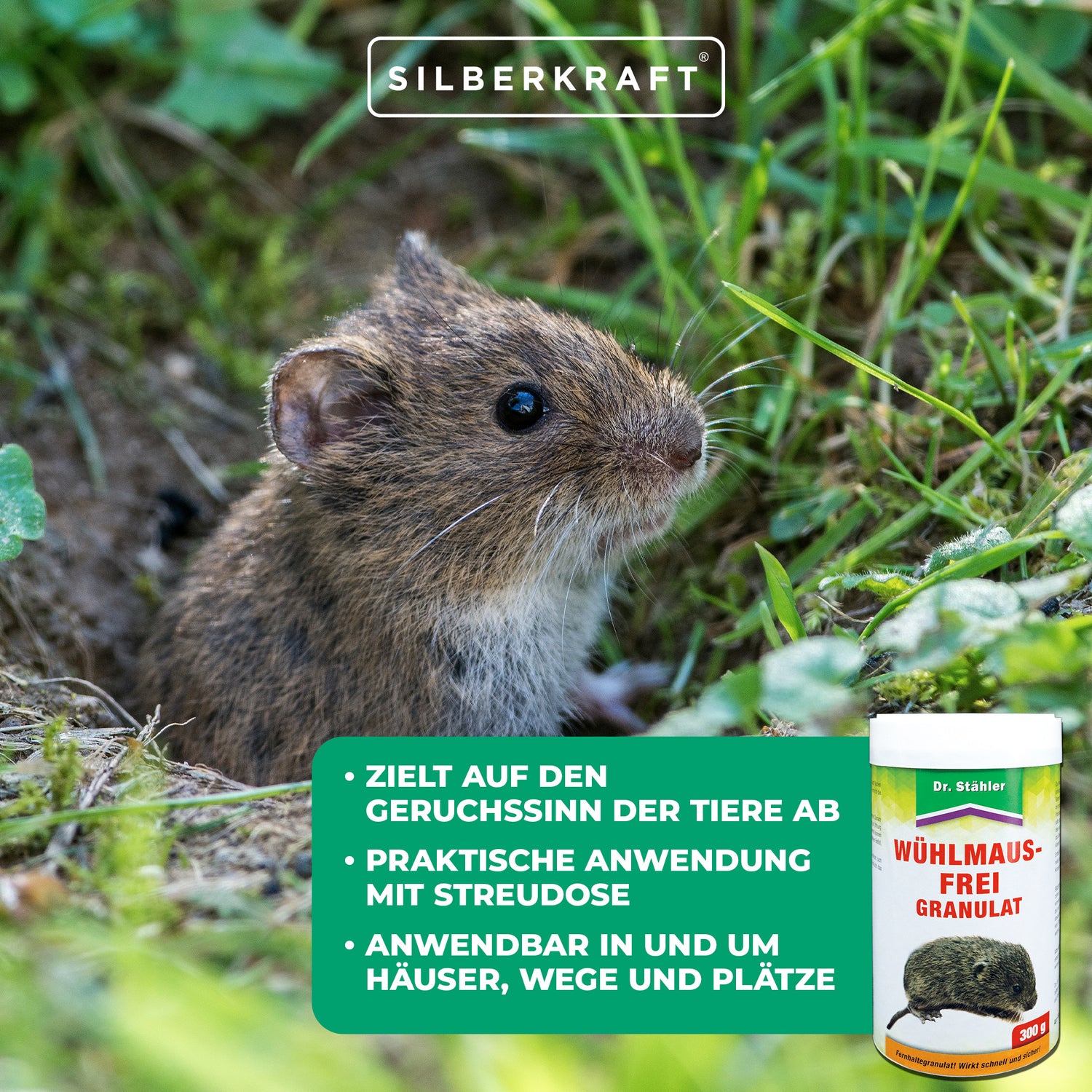 Granulés anti-campagnols efficaces : protection immédiate contre les campagnols dans et autour des maisons