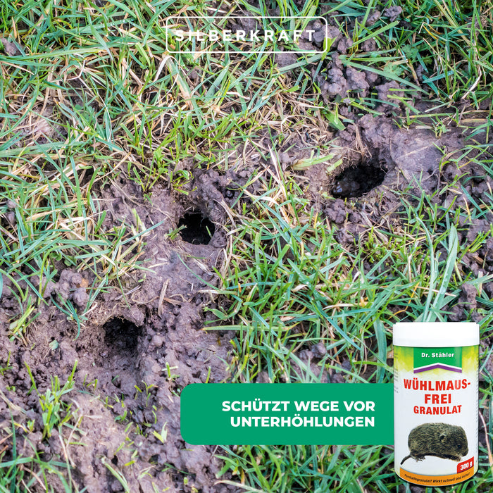 Granulés anti-campagnols efficaces : protection immédiate contre les campagnols dans et autour des maisons