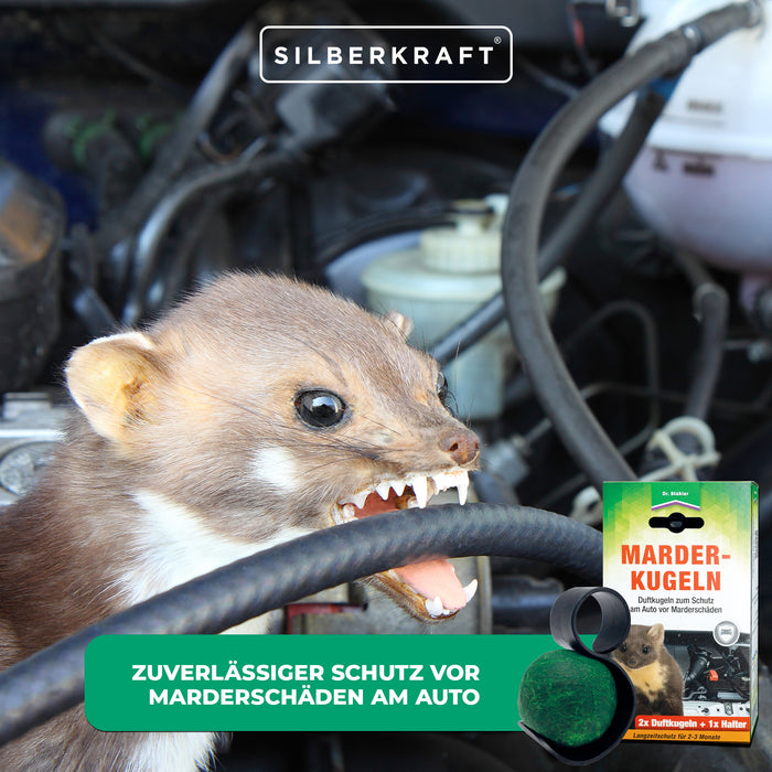 Effektiver Schutz vor Marderschäden: Marder-Duftkugeln für dein Auto - Silberkraft