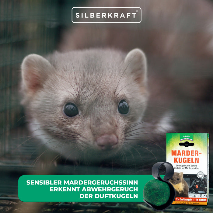 Effektiver Schutz vor Marderschäden: Marder-Duftkugeln für dein Auto - Silberkraft