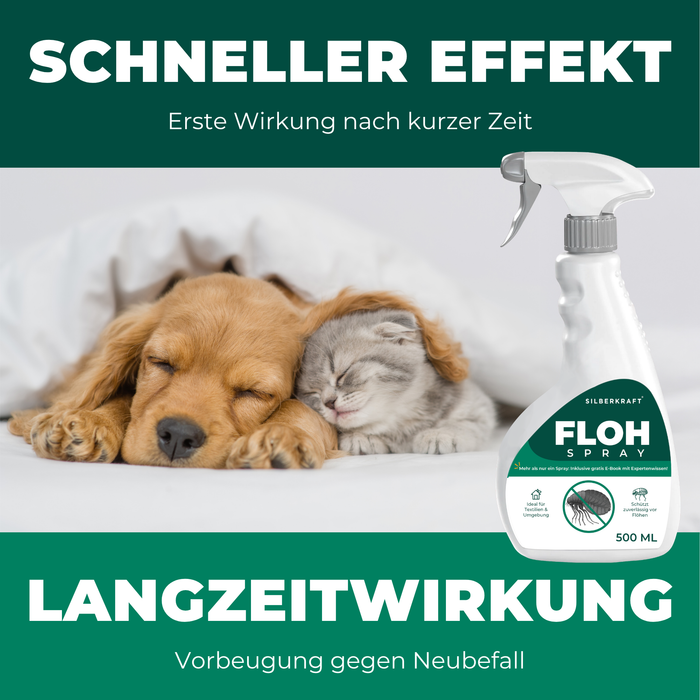 Schneller Effekt und Langzeitwirkung – ruhender Hund nach Anwendung des Floh Sprays