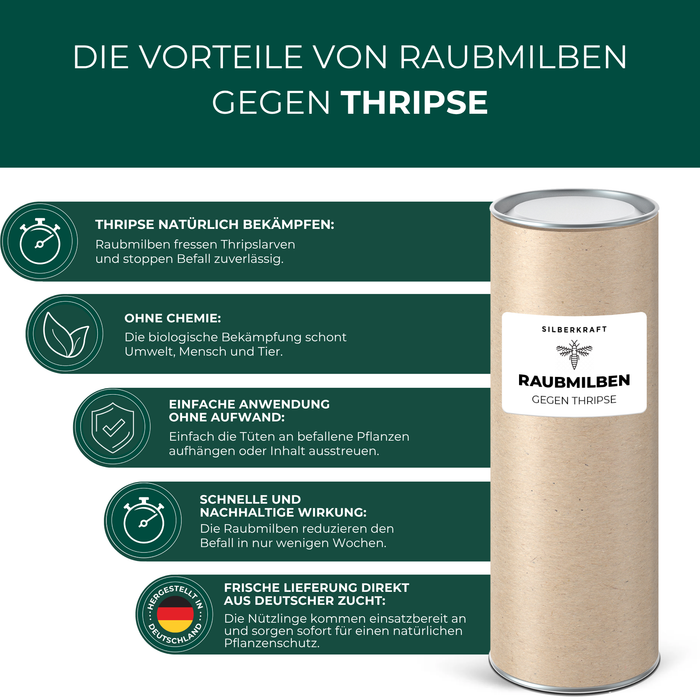 Acariens prédateurs contre les thrips - Silberkraft