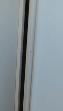 Acarien du velours rouge – Oberursel (Taunus)