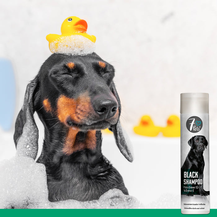 Black Shampoo - shampoing pour chien pour fourrure foncée - Silberkraft