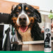 Black Shampoo - shampoing pour chien pour fourrure foncée - Silberkraft