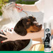 Black Shampoo - shampoing pour chien pour fourrure foncée - Silberkraft