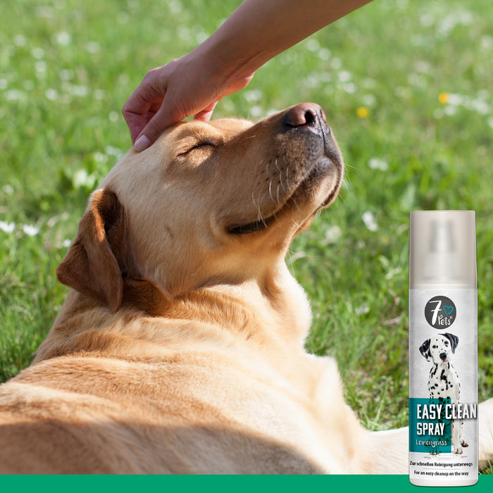Easy Clean Spray - Hunde Reinigung für unterwegs - Silberkraft