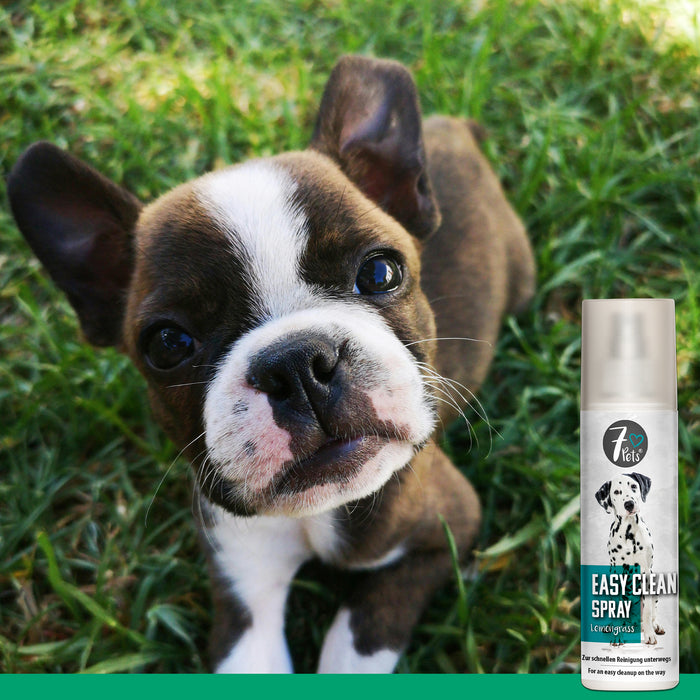 Easy Clean Spray - Hunde Reinigung für unterwegs - Silberkraft