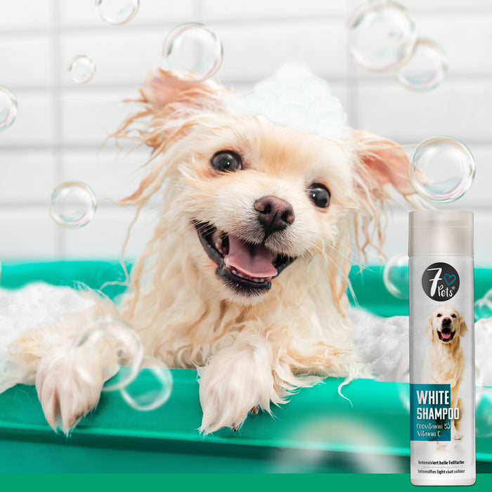 White Shampoo - shampoing pour chien pour pelage clair 