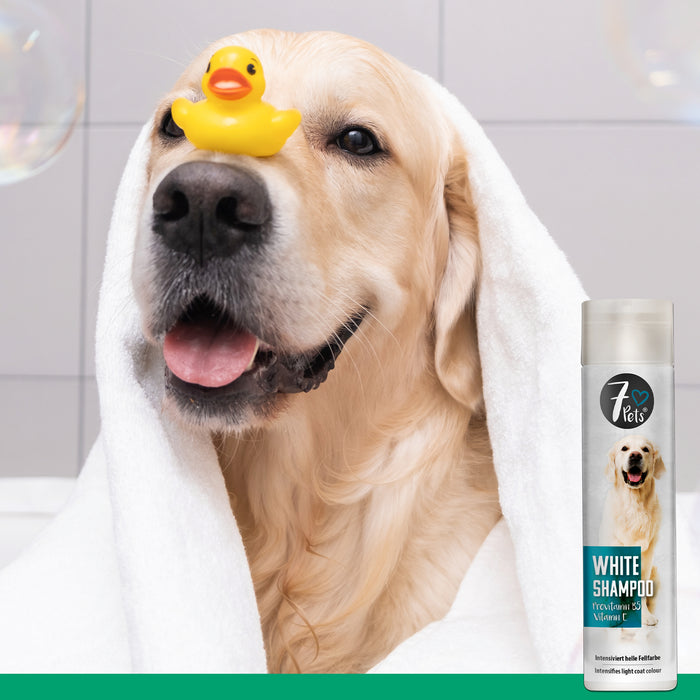 White Shampoo - shampoing pour chien pour pelage clair 