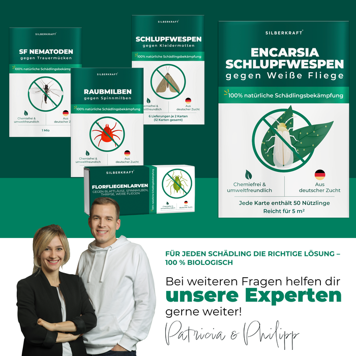 Les experts Patricia et Philipp se présentent devant divers produits utiles contre les insectes.