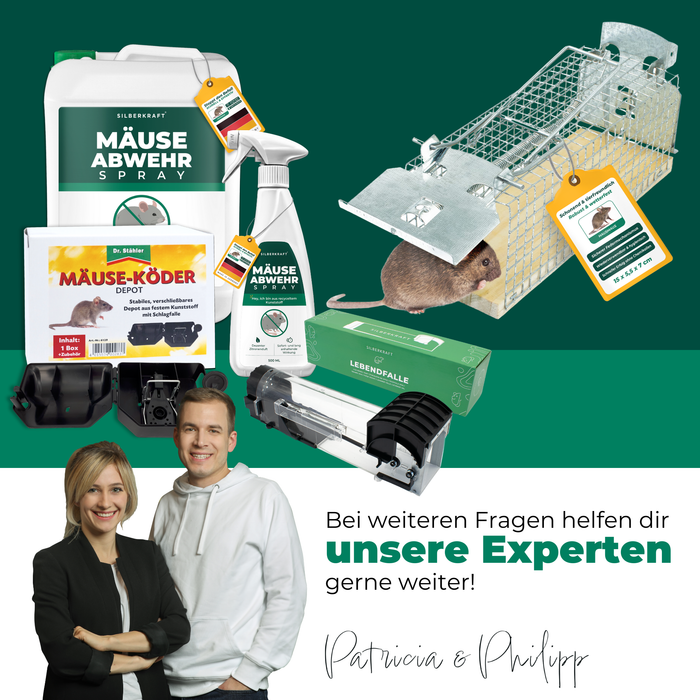 Piège vivant pour souris en fil de fer - Piège à souris - Alternative respectueuse des animaux aux pièges à pression et aux appâts empoisonnés