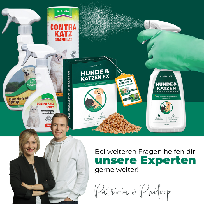 Spray répulsif pour chiens et chats
