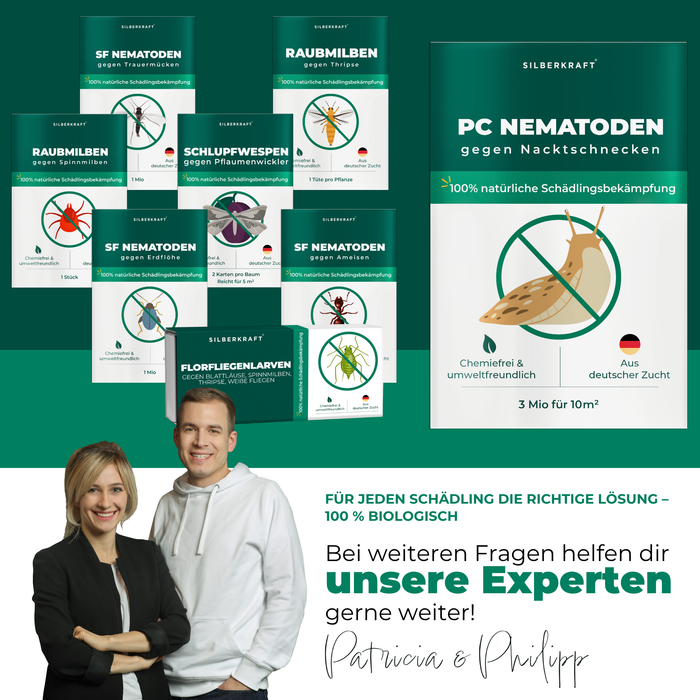 Nématodes PC contre limaces et escargots - Silberkraft