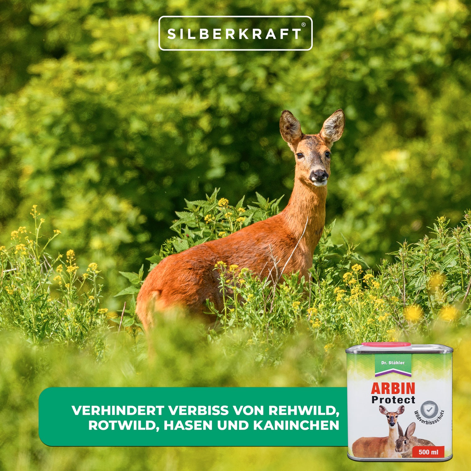 Arbin Protect - Schutz vor Wildverbiss für Bäume und Sträucher - Silberkraft