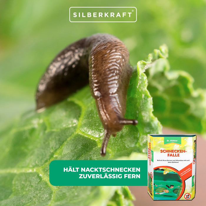 Piège à escargots astucieux pour un jardin magnifique et préservé