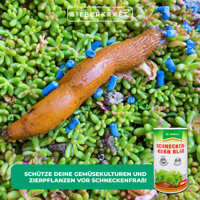 Granulés d'escargots bleus : répulsif protecteur contre les escargots pour les plantes de jardin