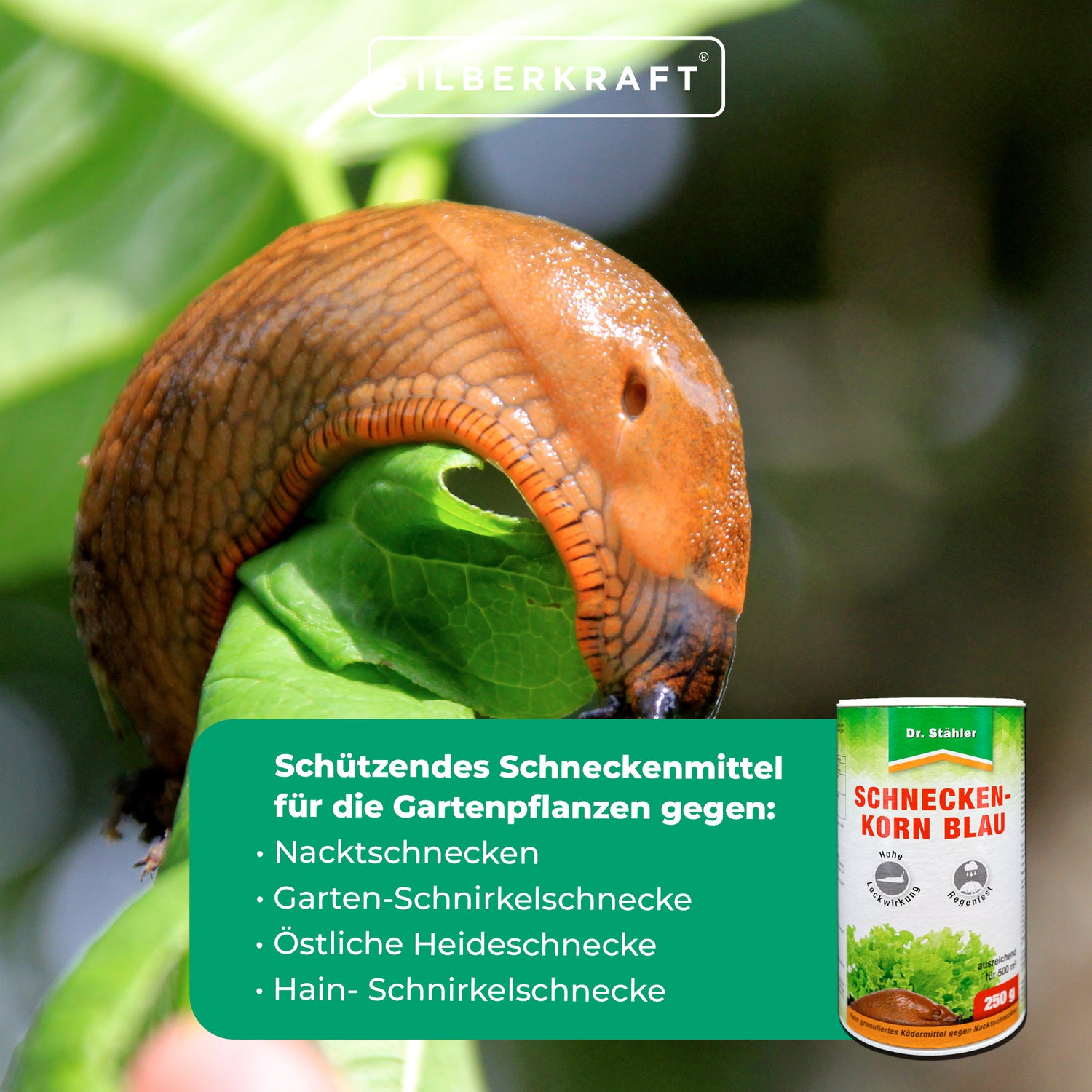 Granulés d'escargots bleus : répulsif protecteur contre les escargots pour les plantes de jardin