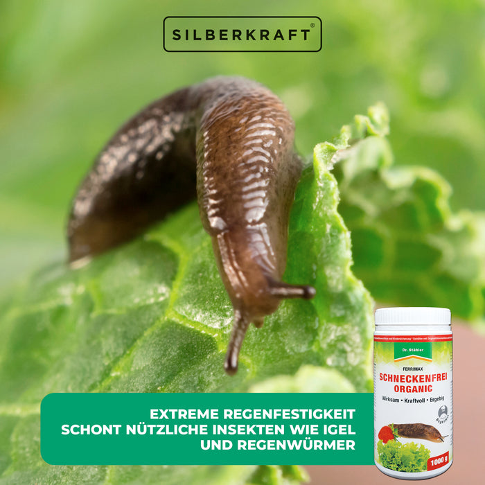 Bio sans escargots : protection efficace contre les escargots au jardin