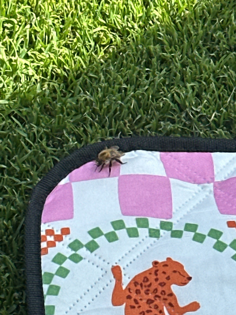 Un bourdon des champs est assis sur une couverture à motifs dans l'herbe. L'insecte est bien visible.