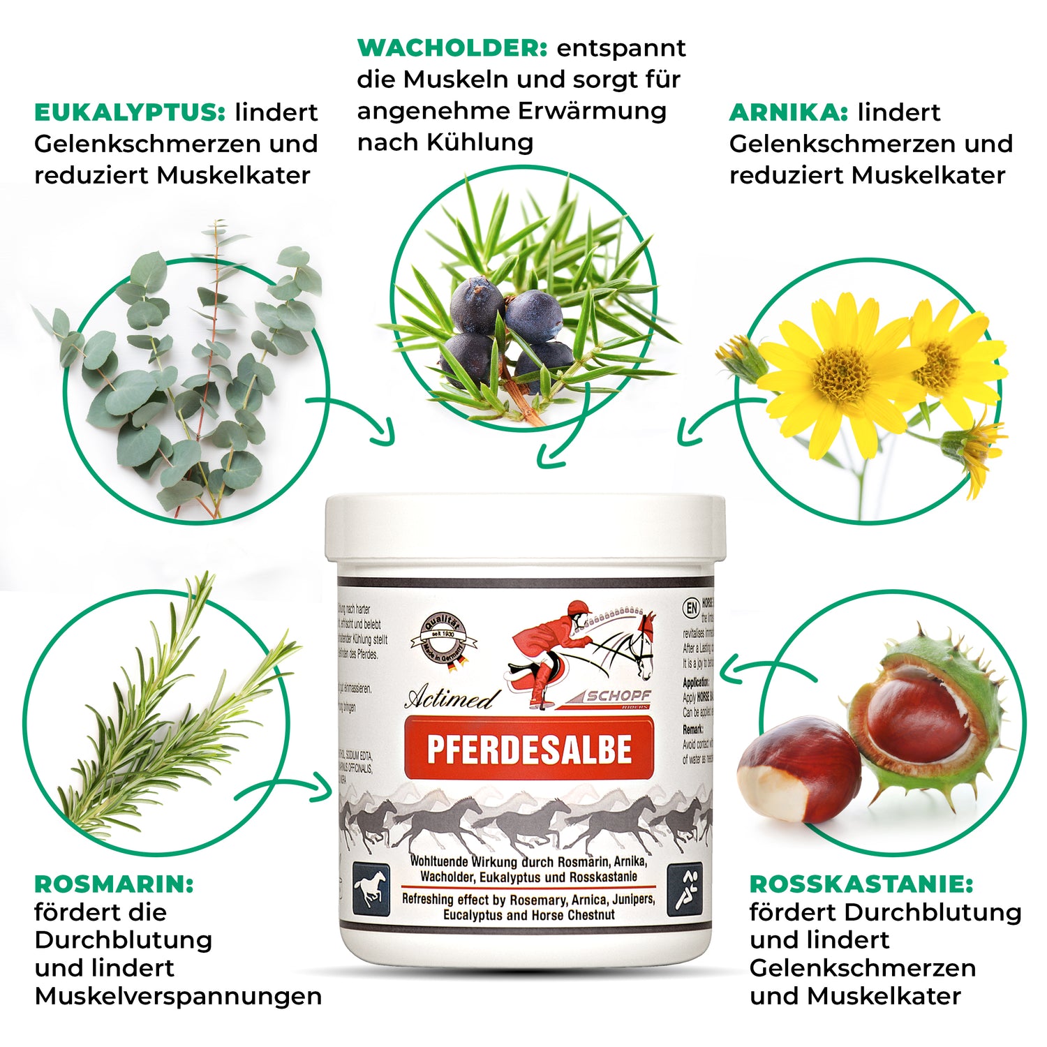 Pommade pour chevaux Actimed à l'arnica : soin rafraîchissant pour les muscles stressés du cheval