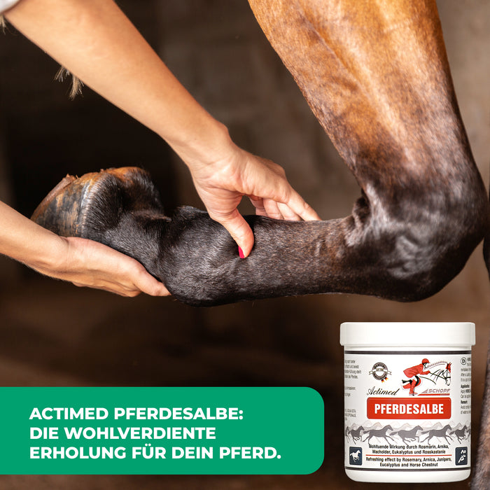 Pommade pour chevaux Actimed à l'arnica : soin rafraîchissant pour les muscles stressés du cheval