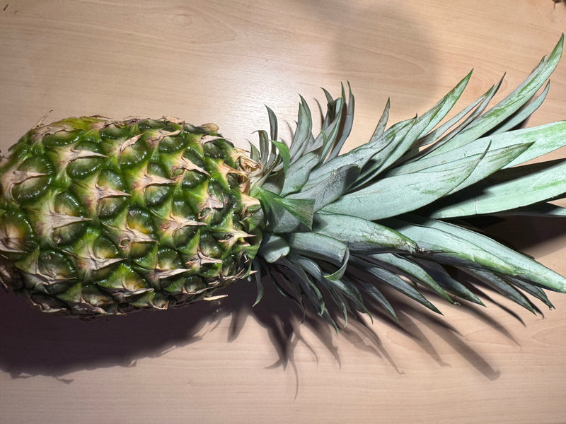 ananas — photo 3 sur 11
