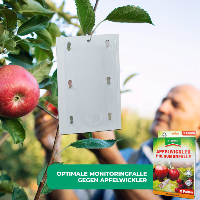 Piège à phéromones du carpocapse de la pomme : protection efficace des arbres fruitiers