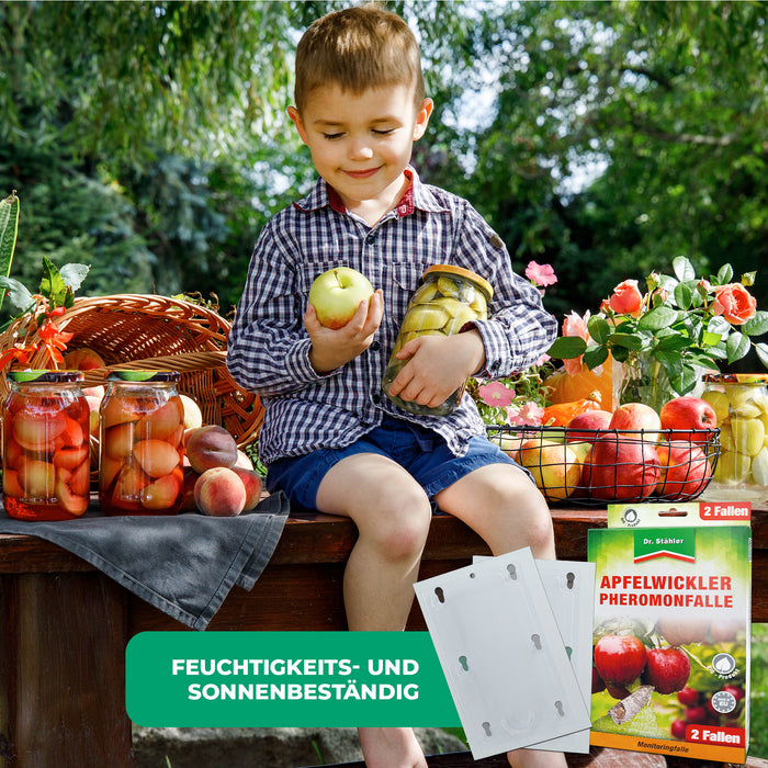 Piège à phéromones du carpocapse de la pomme : protection efficace des arbres fruitiers