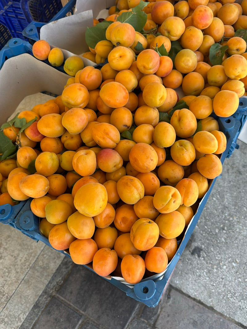 De nombreux abricots mûrs et orange sont serrés dans des caisses de transport bleues. Quelques feuilles vertes sont visibles parmi les fruits.