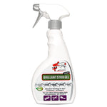 Spray queue et crinière Brilliant pour des crins de cheval brillants - Silberkraft