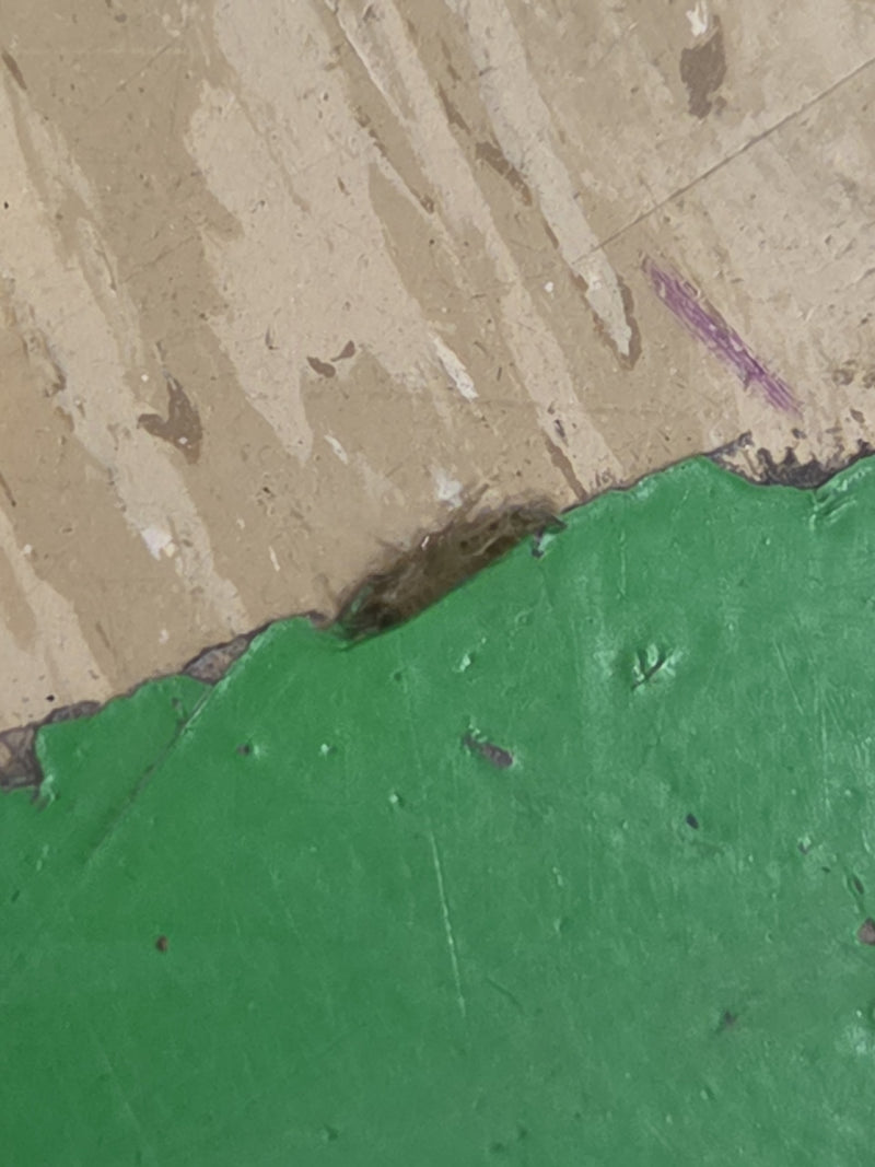 Amphipode de ruisseau — Bild 3