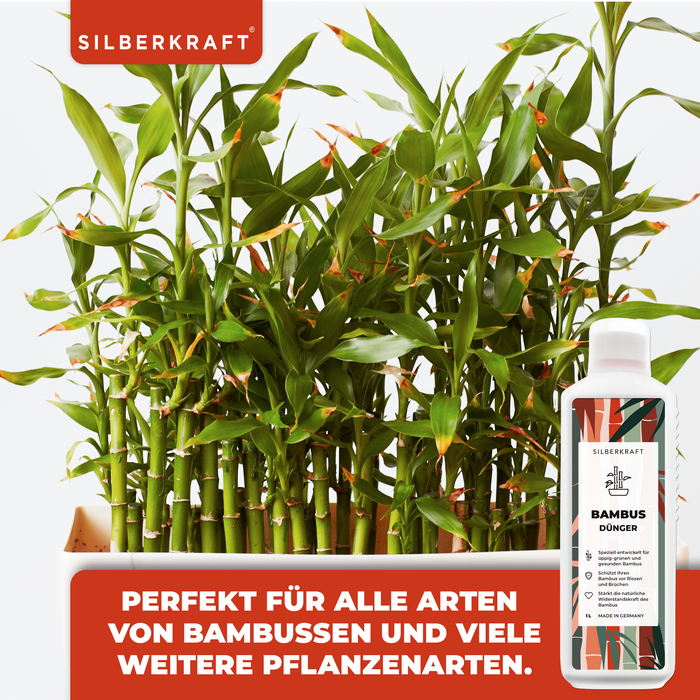Engrais pour bambou - Engrais liquide minéral NPK avec azote - Engrais pour bambou - Fertilisation du bambou