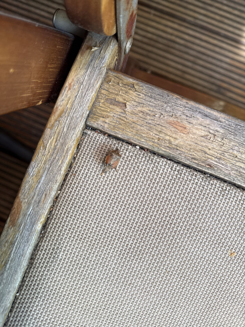 L'image montre une pentatome des baies posée sur le revêtement en tissu d'un meuble de jardin en bois. L'insecte est photographié en vue plongeante.