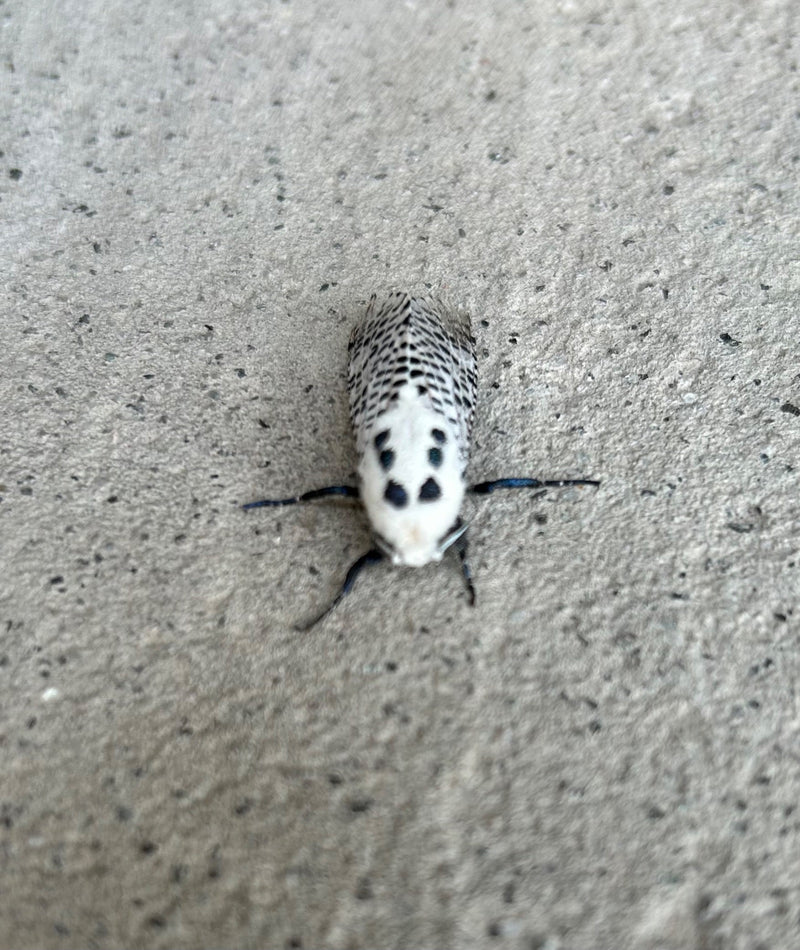 Écran bleu — photo 3 sur 5