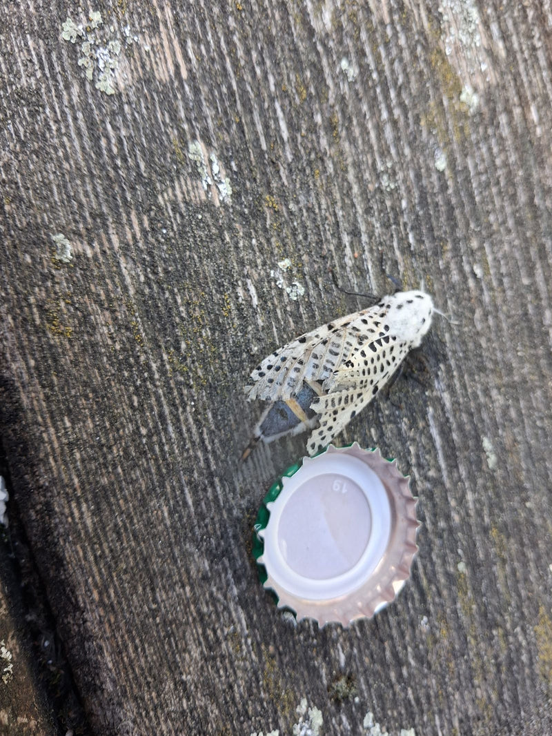 Écran bleu — photo 2 sur 5
