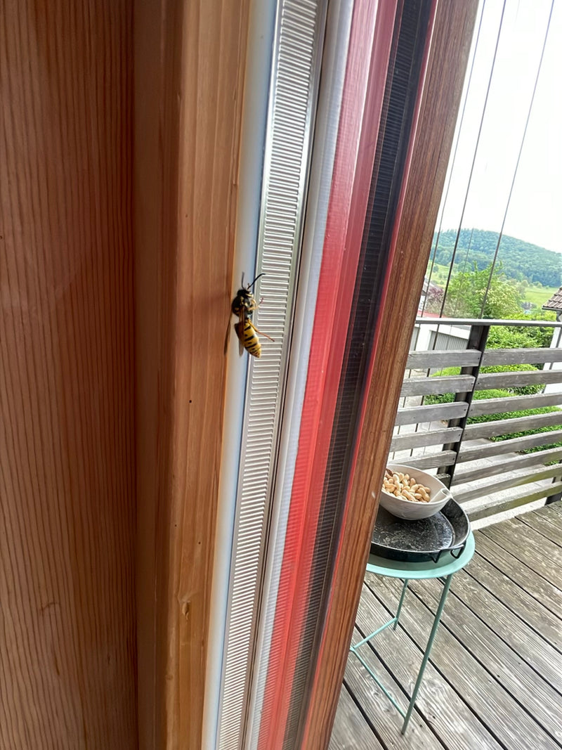 Une guêpe germanique est assise sur le cadre d'une porte-fenêtre. Un balcon en bois et un paysage verdoyant sont visibles en arrière-plan.