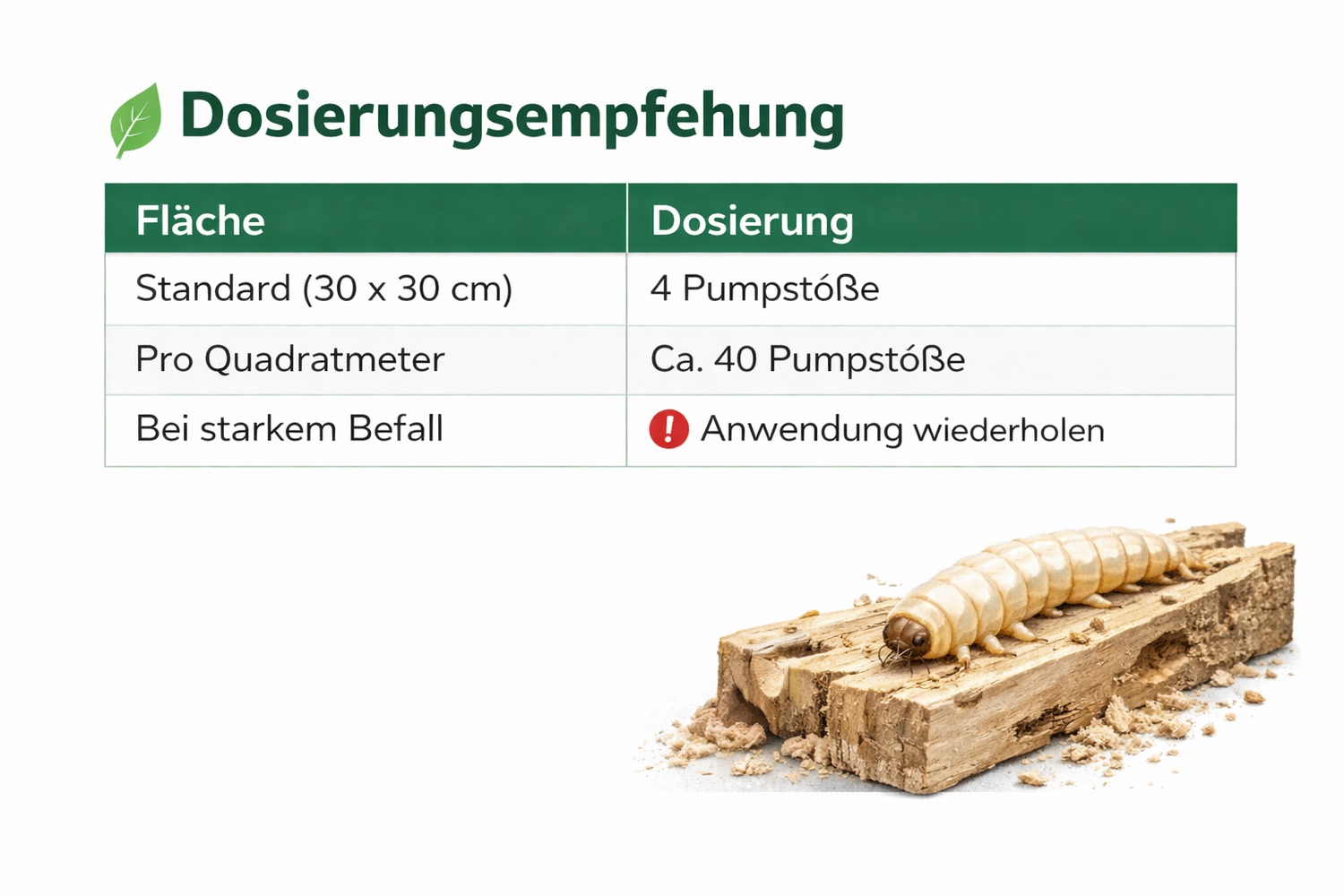 Dosierungsempfehlung für Silberkraft Holzschutzmittel gegen Holzwurm – übersichtliche Tabelle mit Anwendungshinweisen zur richtigen Dosierung je Fläche (30 × 30 cm, pro Quadratmeter, bei starkem Befall) auf weißem Hintergrund, ergänzt durch realistische Holzwurm-Abbildung auf Holz.