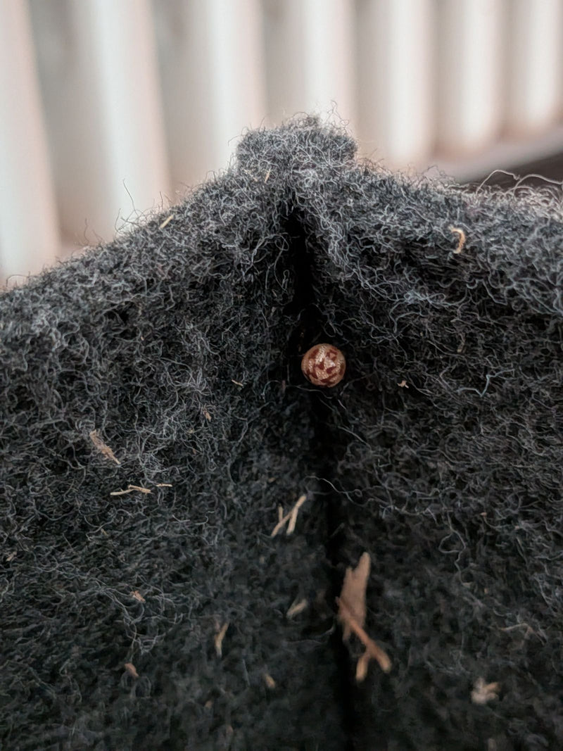 Une steatode triangulaire est assise dans un pli sombre de tissu gris. Son abdomen rond au motif caractéristique est bien visible.