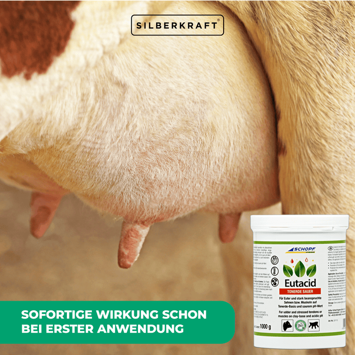 Baume à l'argile eutacide : soin polyvalent des mamelles et des articulations des vaches